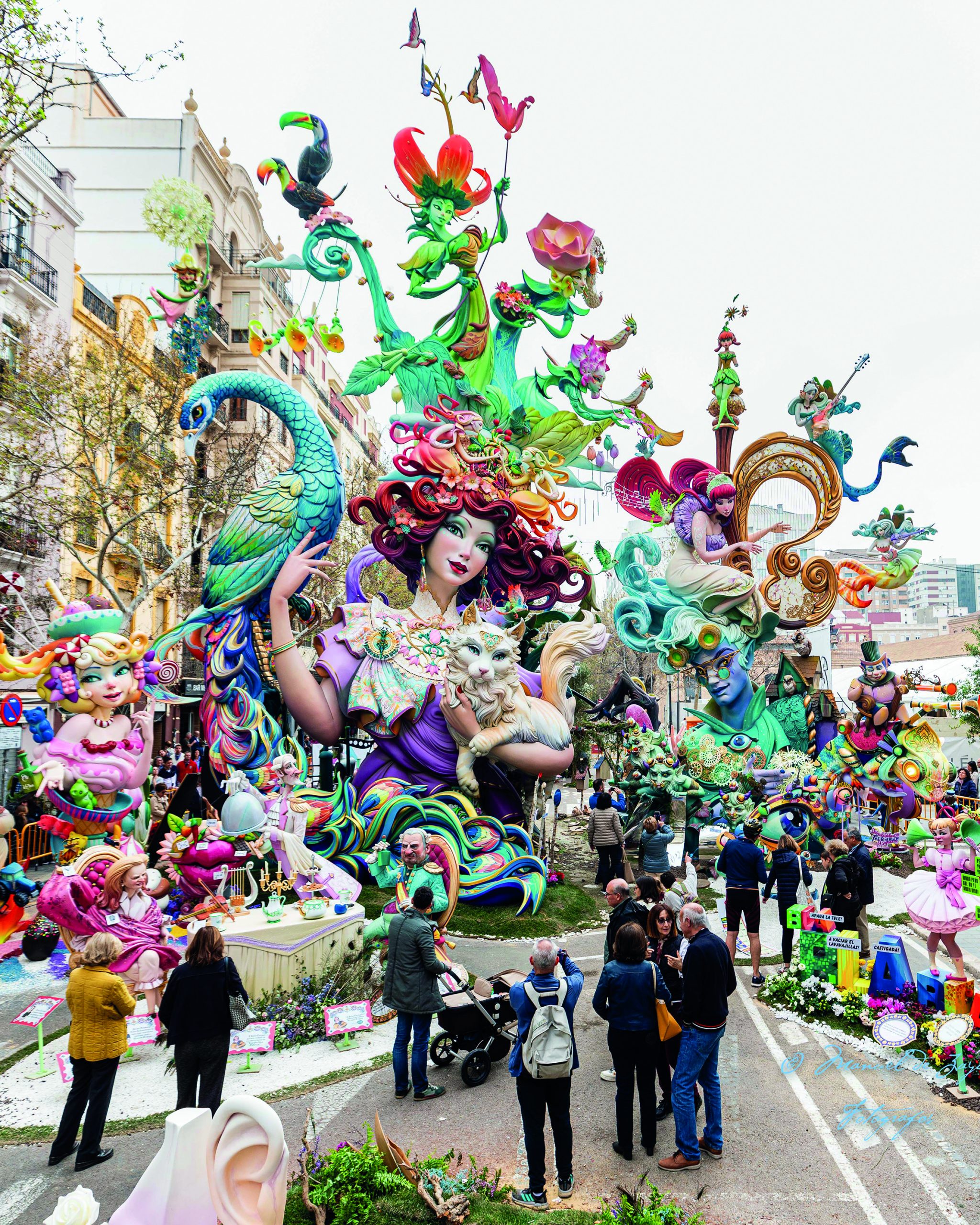 Falla “Sensitiva”, 2024